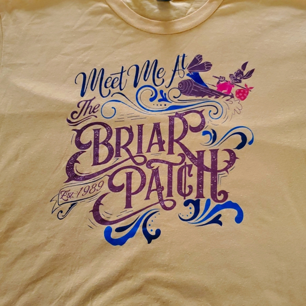 Ignite The Magic Disney Small Shop Splash Mountain Shiry Unisex Large - Picture 3 of 4